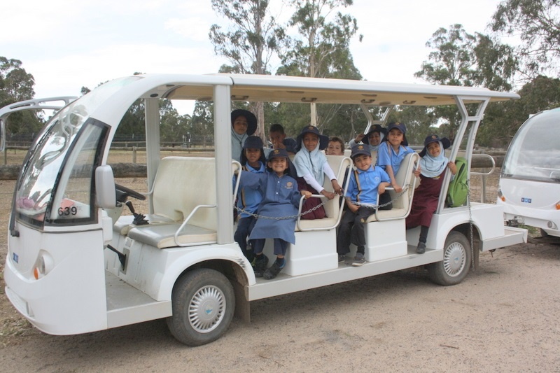 Year Foundation Excursion to Bundoora Farm